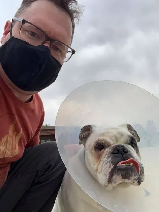 Animal Eye Consultants Picture 8