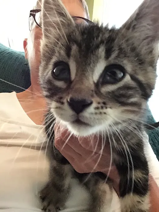 Blairs Ferry Pet Hospital Picture 3