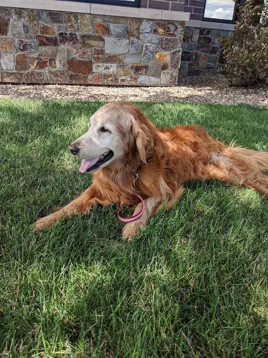 Blairs Ferry Pet Hospital Picture 6
