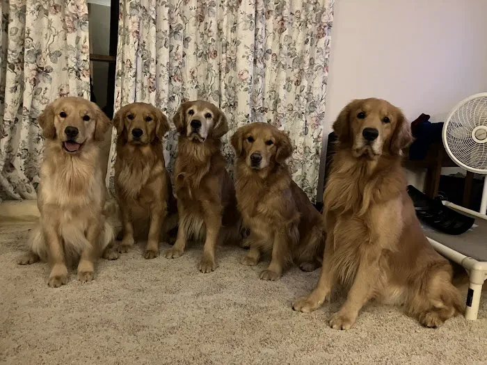 Blairs Ferry Pet Hospital Picture 5