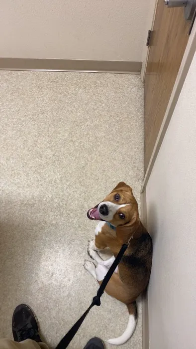 Blairs Ferry Pet Hospital Picture 8