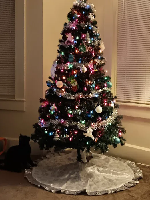 Linn Animal Hospital North Picture 3