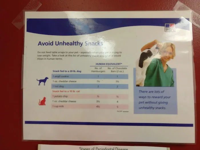 Linn Animal Hospital Marion Picture 5