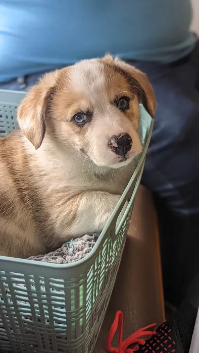 Marion Animal Hospital Picture 3