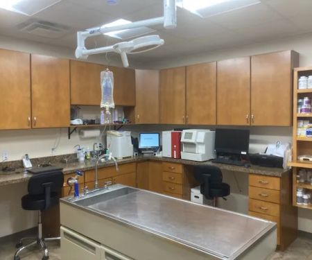 Marion Animal Hospital