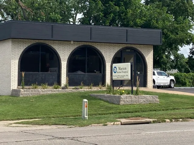 Marion Animal Hospital Picture 10