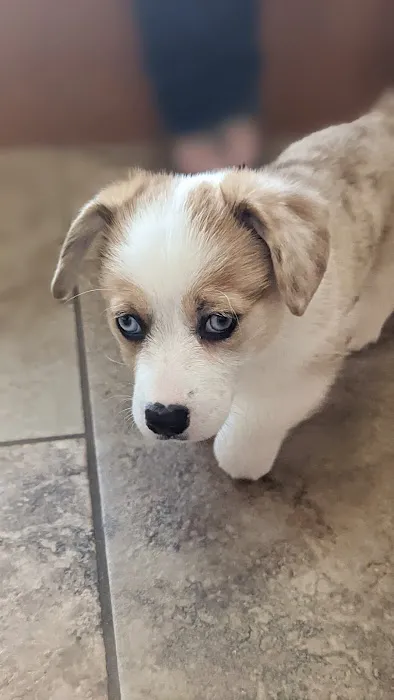 Marion Animal Hospital Picture 5