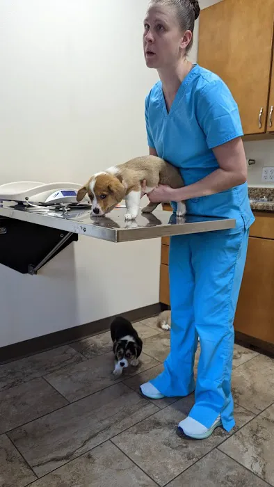 Marion Animal Hospital Picture 7