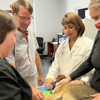 Heartland Animal Hospital Cedar Rapids ico