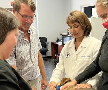 Heartland Animal Hospital Cedar Rapids