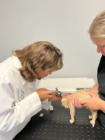 Heartland Animal Hospital Cedar Rapids Picture 3