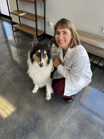 Heartland Animal Hospital Cedar Rapids Picture 6