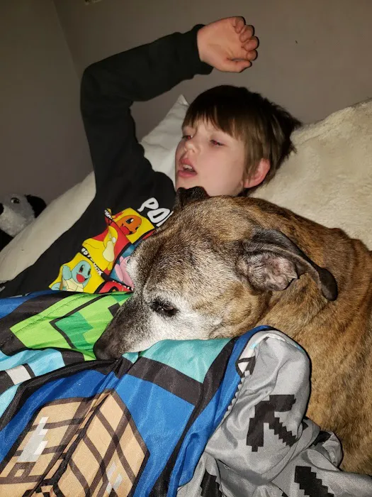 Reilly Mark DVM Picture 4