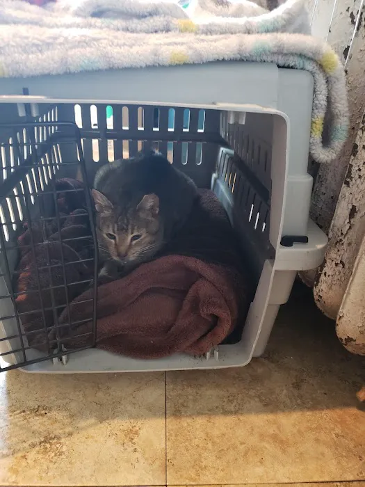 Reilly Mark DVM Picture 5