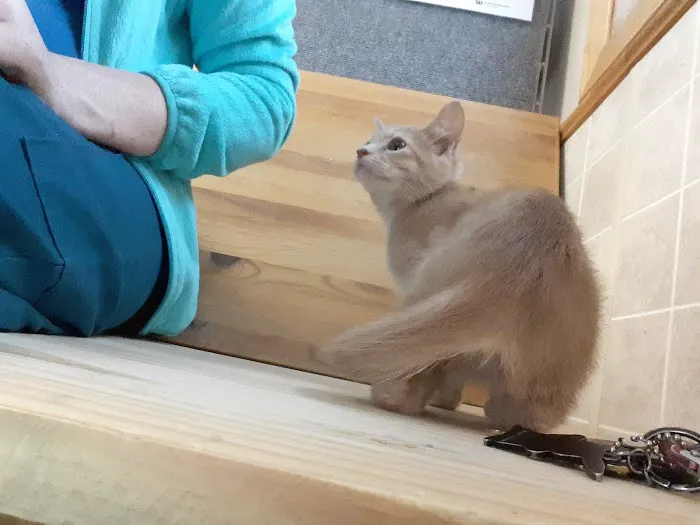 Reilly Mark DVM Picture 3