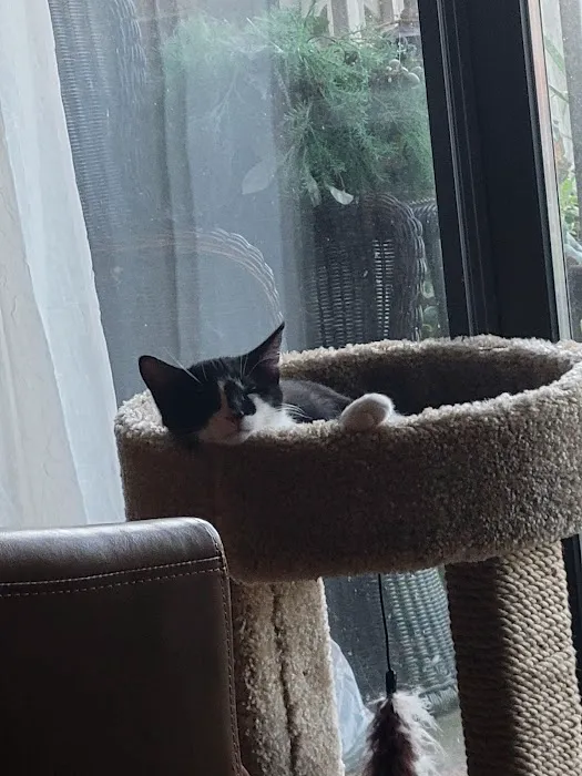 Reilly Mark DVM Picture 9