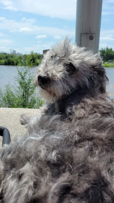 Reilly Mark DVM Picture 7