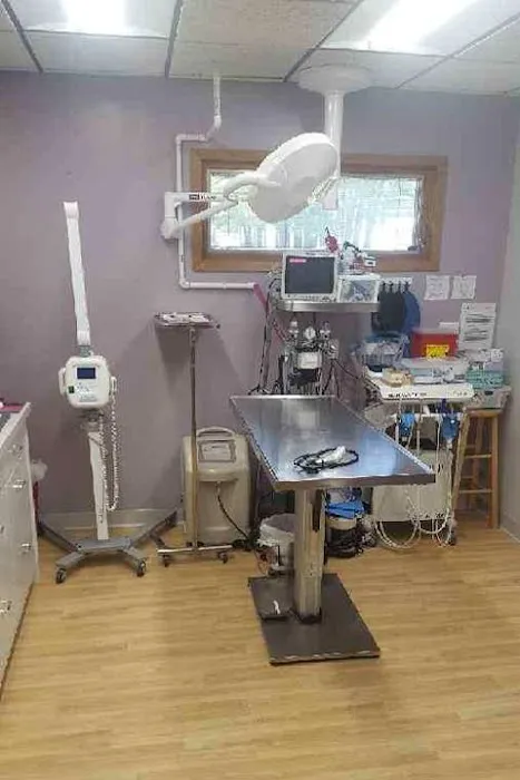 Meier Veterinary Clinic Picture 3