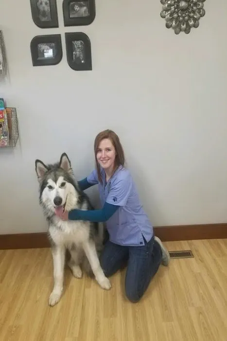 Meier Veterinary Clinic Picture 6