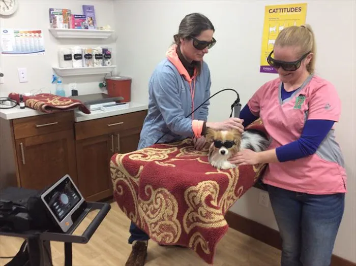 Meier Veterinary Clinic Picture 7