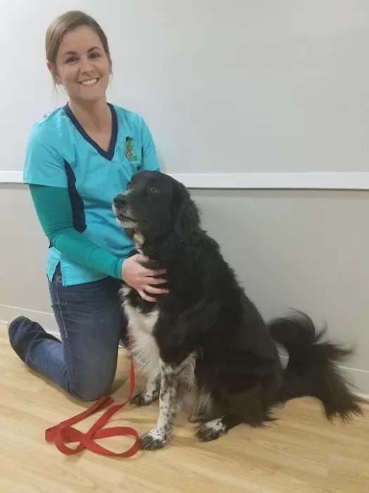 Meier Veterinary Clinic Picture 10