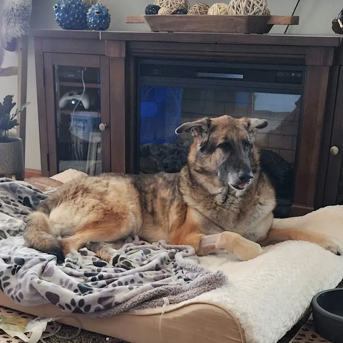 Monticello Veterinary Clinic Picture 1