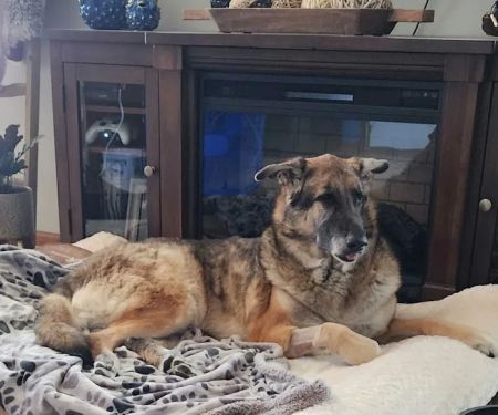 Monticello Veterinary Clinic