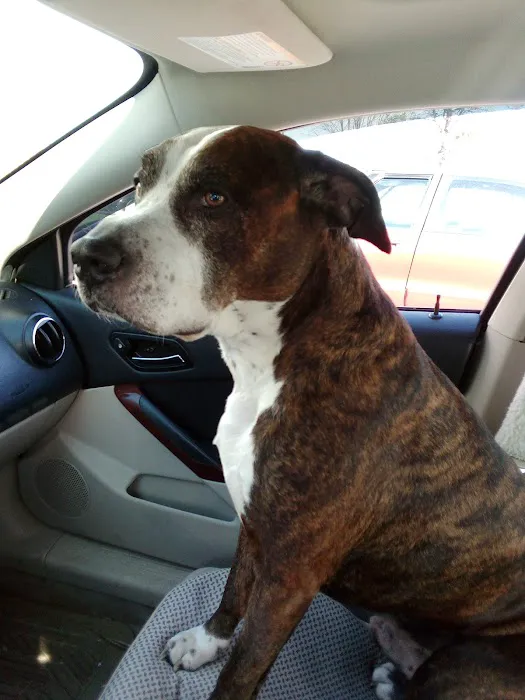 Monticello Veterinary Clinic Picture 2