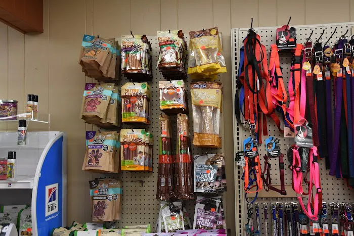 Monticello Veterinary Clinic Picture 5