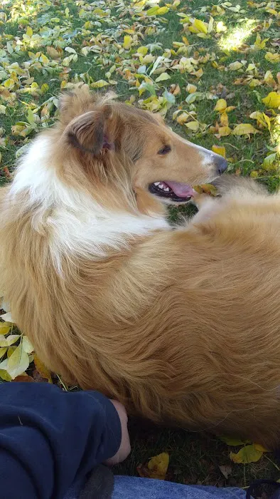 Monticello Veterinary Clinic Picture 8