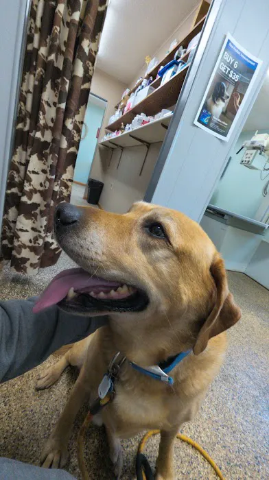 Monticello Veterinary Clinic Picture 9