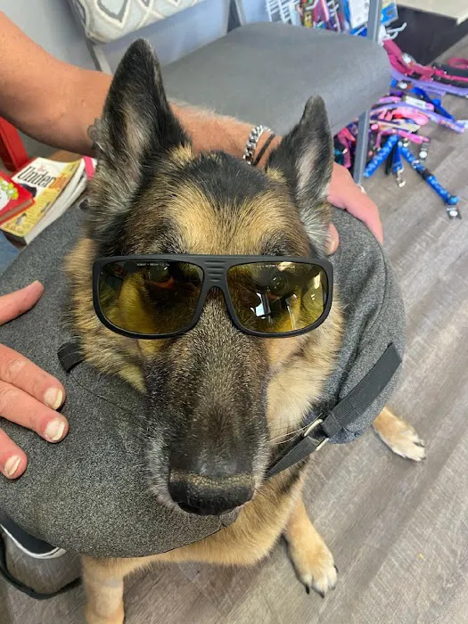 Central Iowa Veterinary Services Picture 2