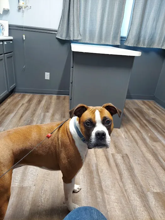 Central Iowa Veterinary Services Picture 1