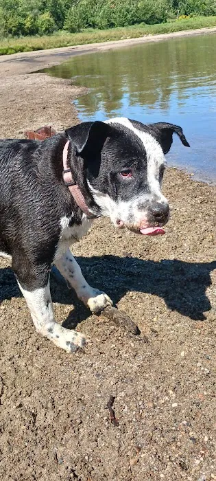 Central Iowa Veterinary Services Picture 5