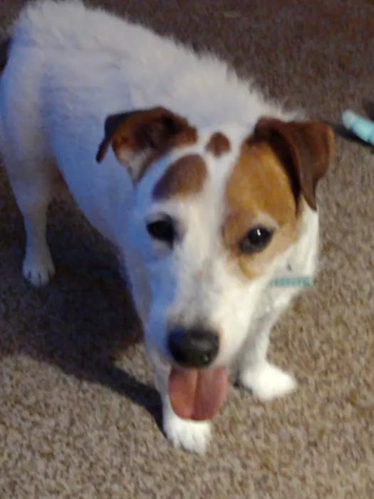 Baxter Veterinary Clinic Picture 3