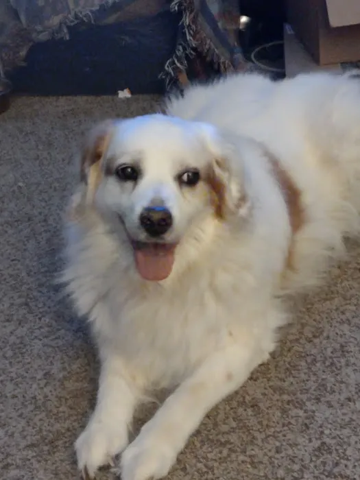 Baxter Veterinary Clinic Picture 1