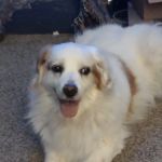 Baxter Veterinary Clinic