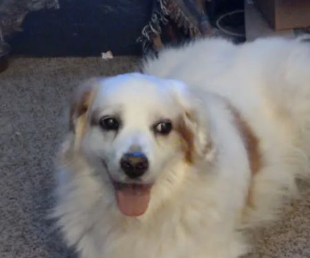 Baxter Veterinary Clinic