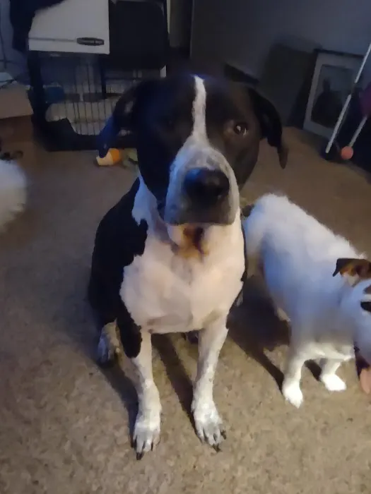 Baxter Veterinary Clinic Picture 2