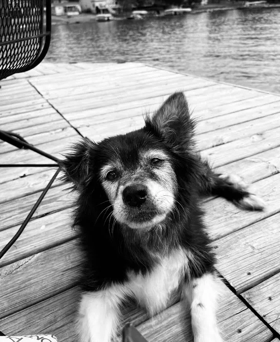 Grinnell Veterinary Clinic, LLP Picture 2