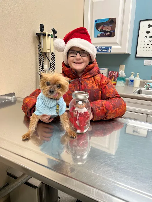 Grinnell Veterinary Clinic, LLP Picture 4