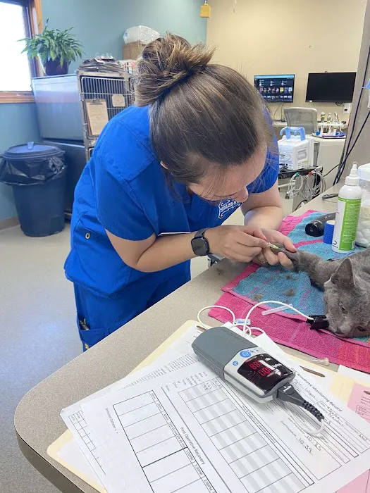 Grinnell Veterinary Clinic, LLP Picture 6