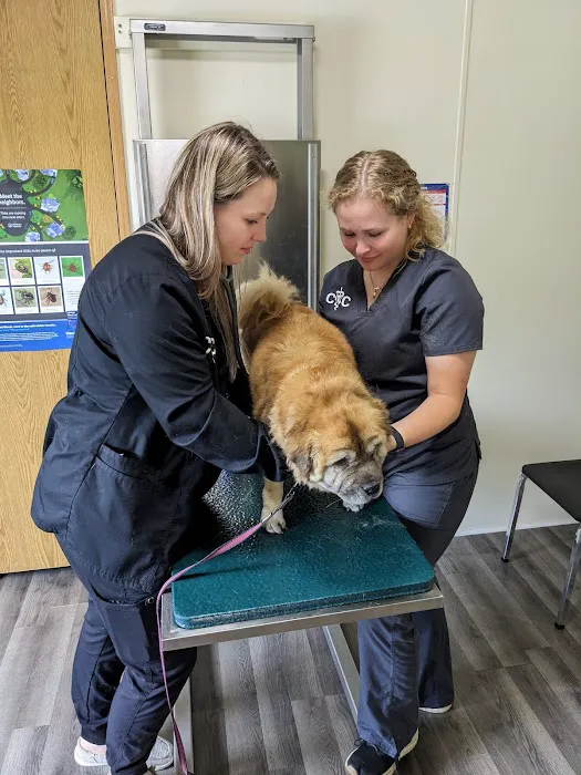 Carnforth Veterinary Clinic Picture 1