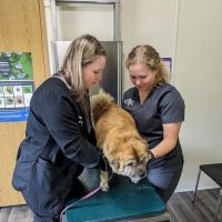Carnforth Veterinary Clinic ico