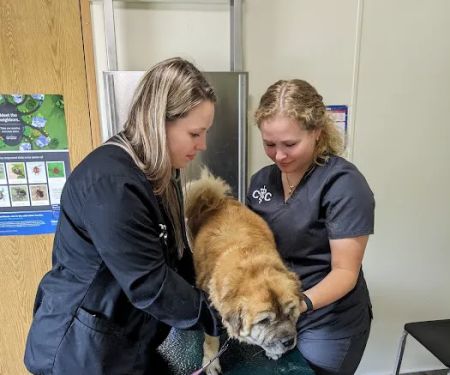 Carnforth Veterinary Clinic