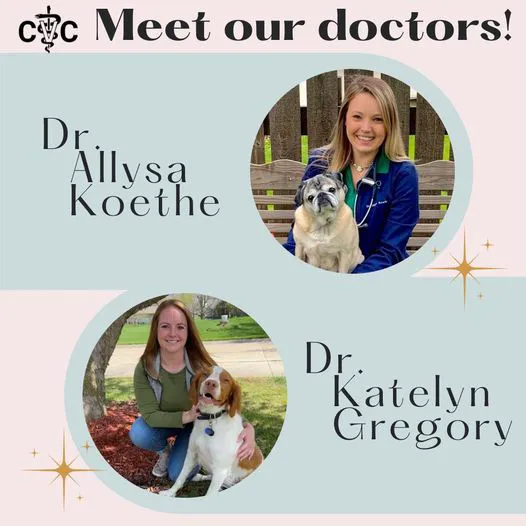 Carnforth Veterinary Clinic Picture 2