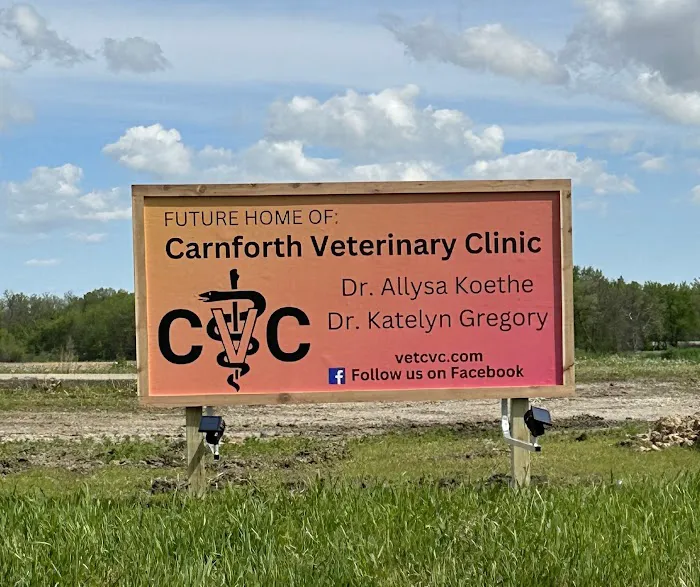 Carnforth Veterinary Clinic Picture 4