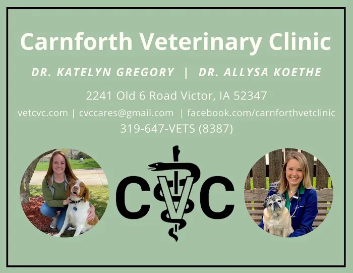 Carnforth Veterinary Clinic Picture 3