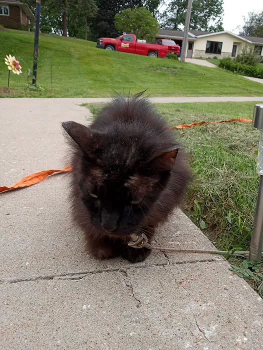 Farm & Family Veterinary Clinics Picture 1