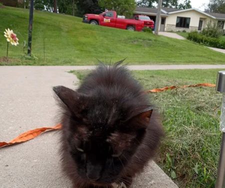 Farm & Family Veterinary Clinics